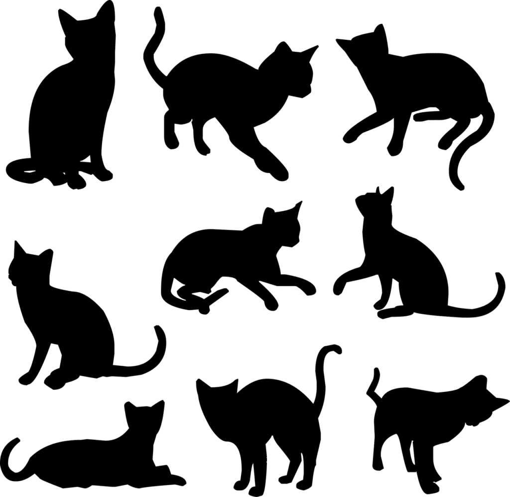 חיות