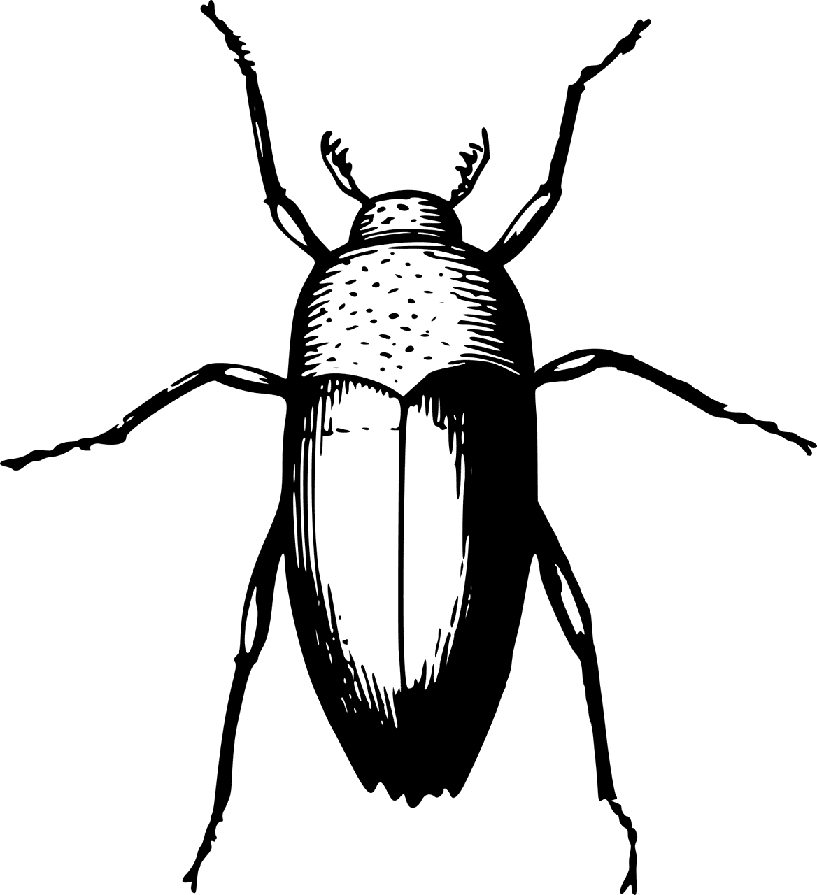איטום נגד כניסת מזיקים – מהם השלבים