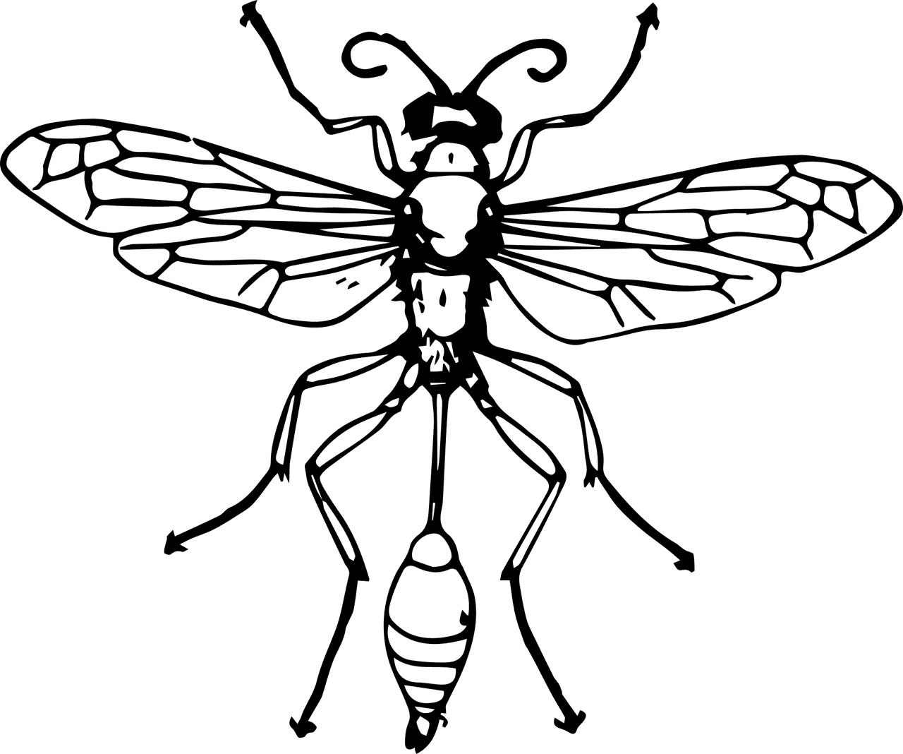 איך להרחיק צרעות מהגינה שלכם